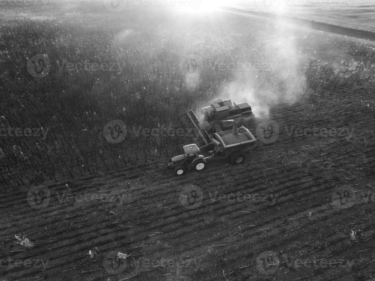 Harvest in Argentine countryside, La Pampa, Argentina photo