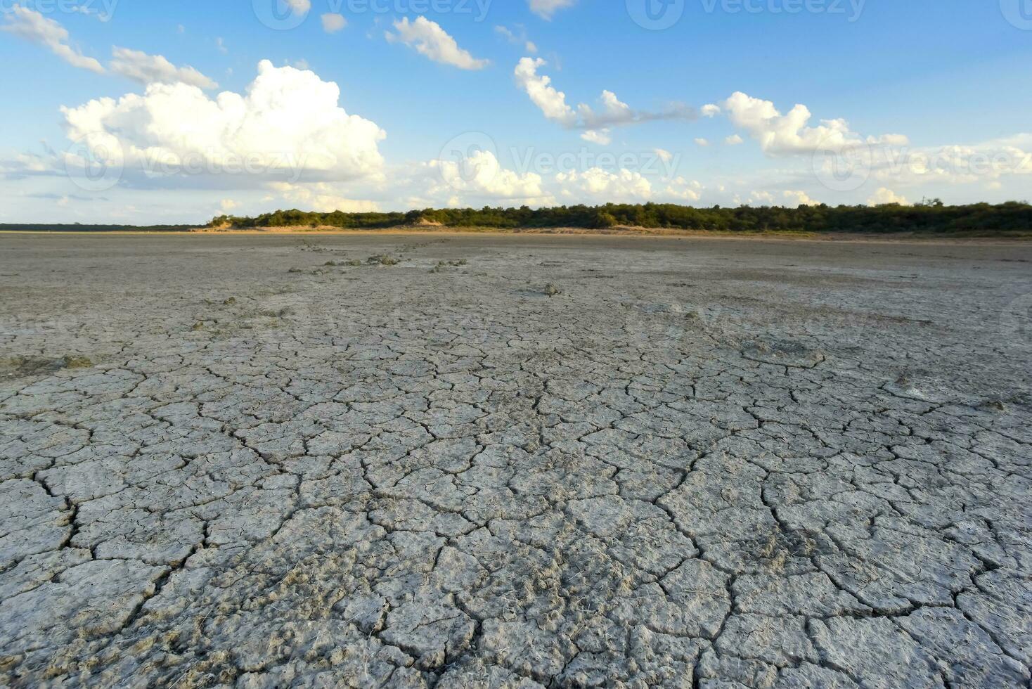 Broken dry soil in a Pampas lagoon, La Pampa province, Patagonia, Argentina. photo