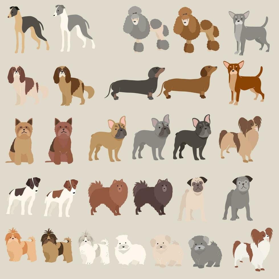 Dog Clip Art Collection vector