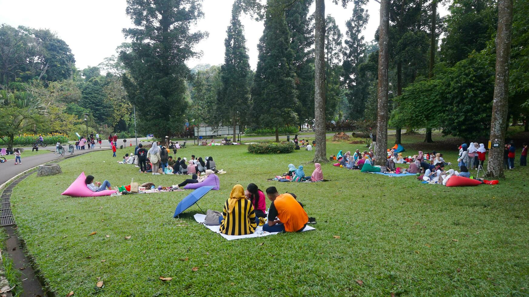 Visitors at Bogor Botanical Gardens, West Java photo