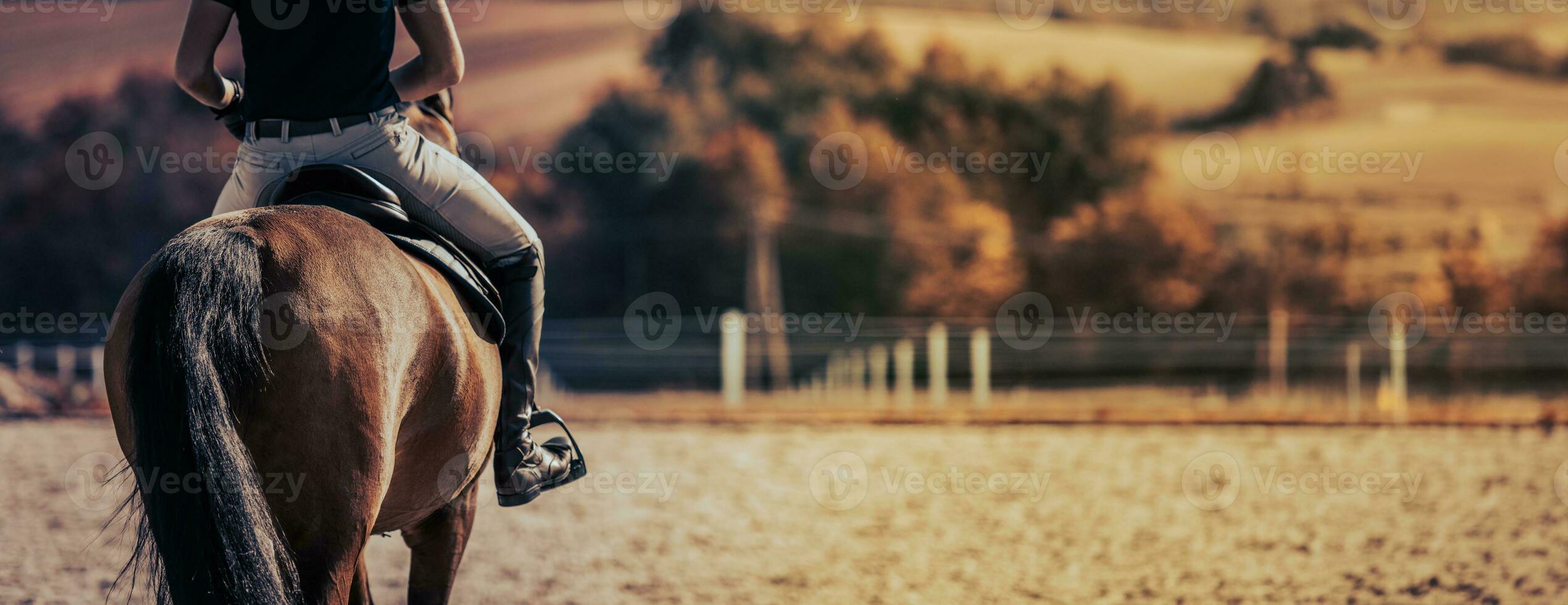 Horse rider on a parkour after equestrian training. photo