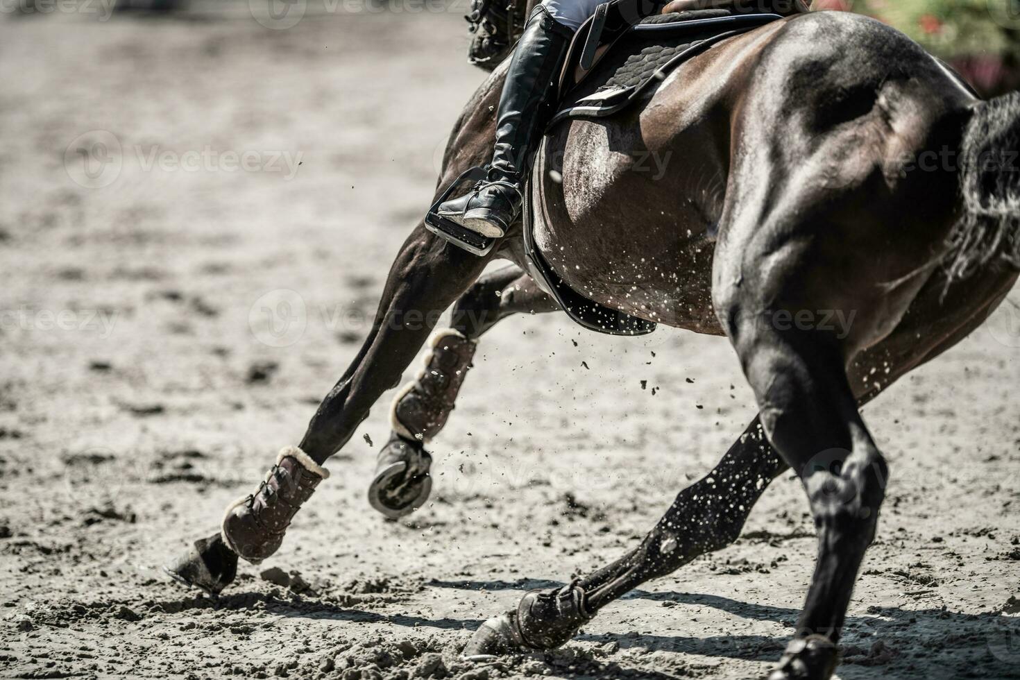 Show Jumping Horse in Action on the Parcour photo