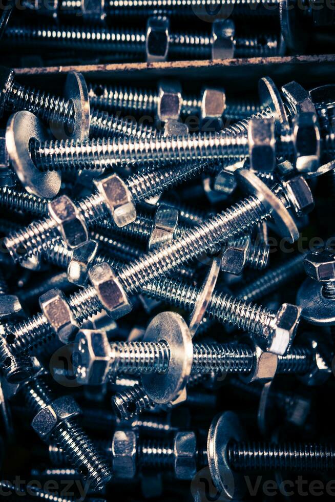 Stainless Steel Screws photo