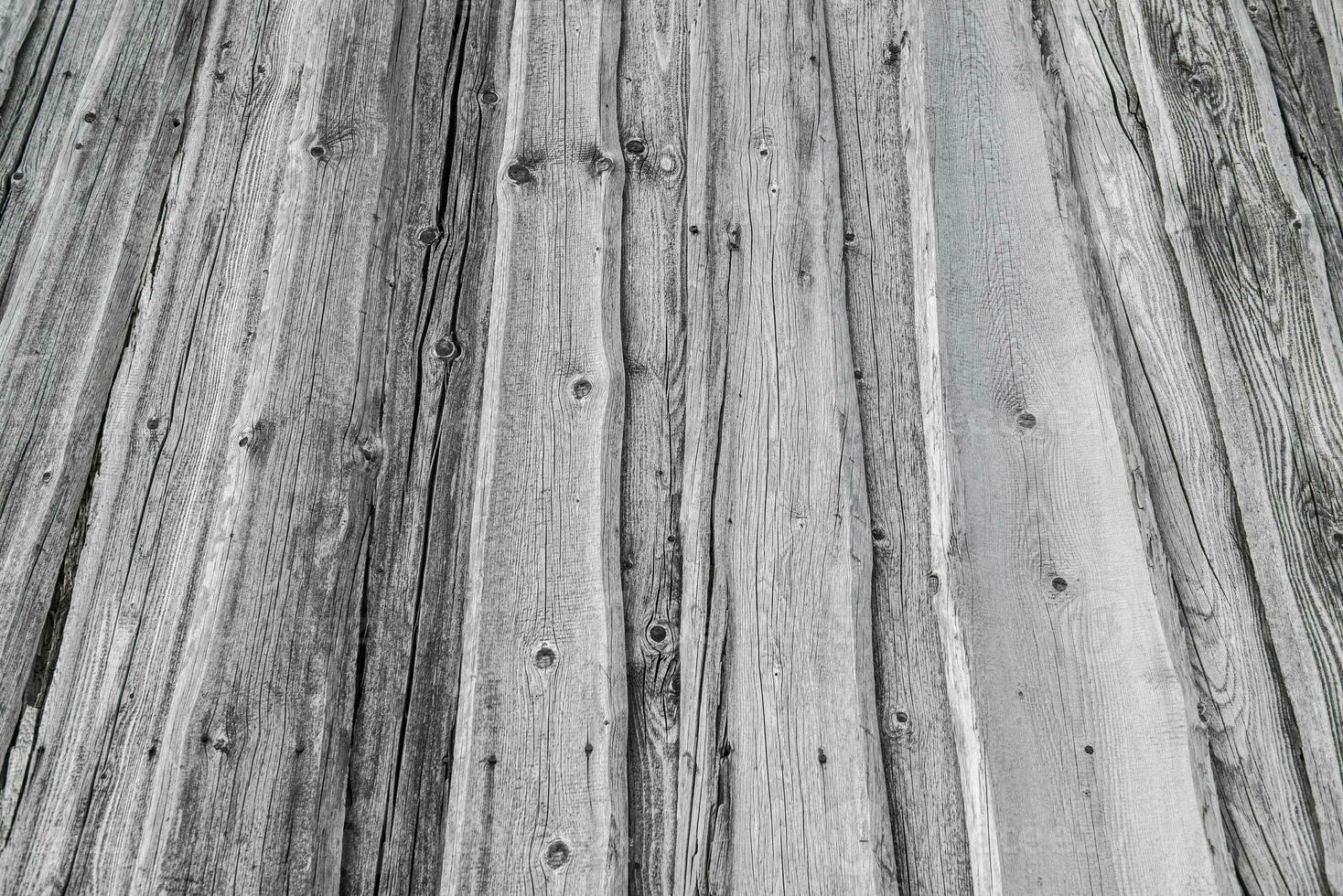 resumen antecedentes madera textura de un antiguo árbol maletero foto