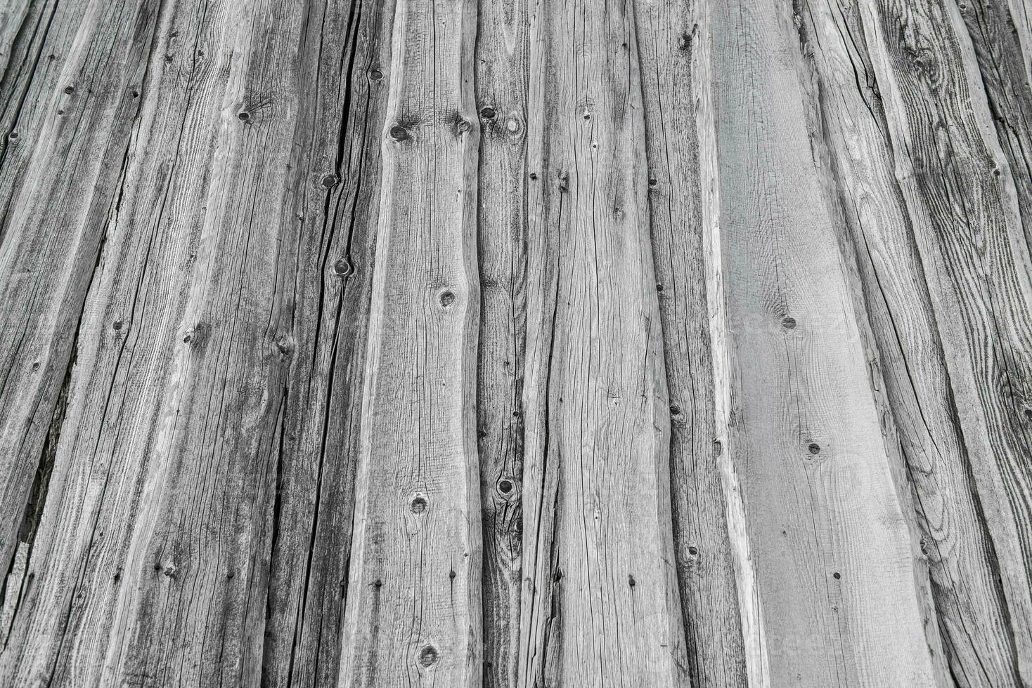 Abstract Background Wood Texture Of An Old Tree Trunk photo