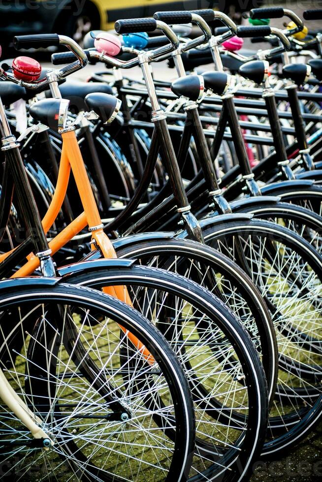 Amsterdam Bikes in row. photo