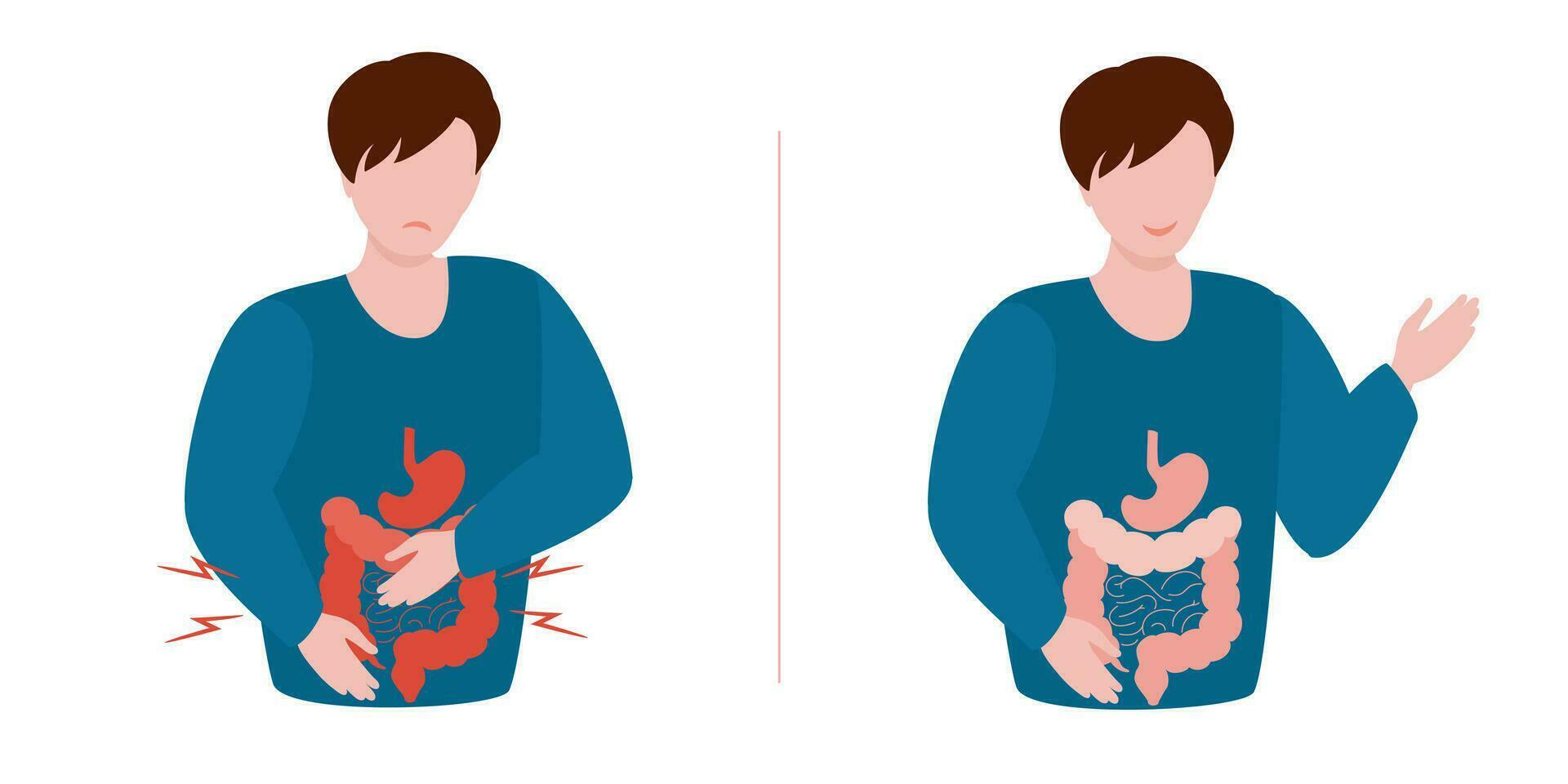 hombre con barriga dolor y intestino cicatrización, cómo a mejorar tu digestión y mantener sano vísceras. digestivo interno órgano.vector ilustración. interno órganos diseño elemento. vector