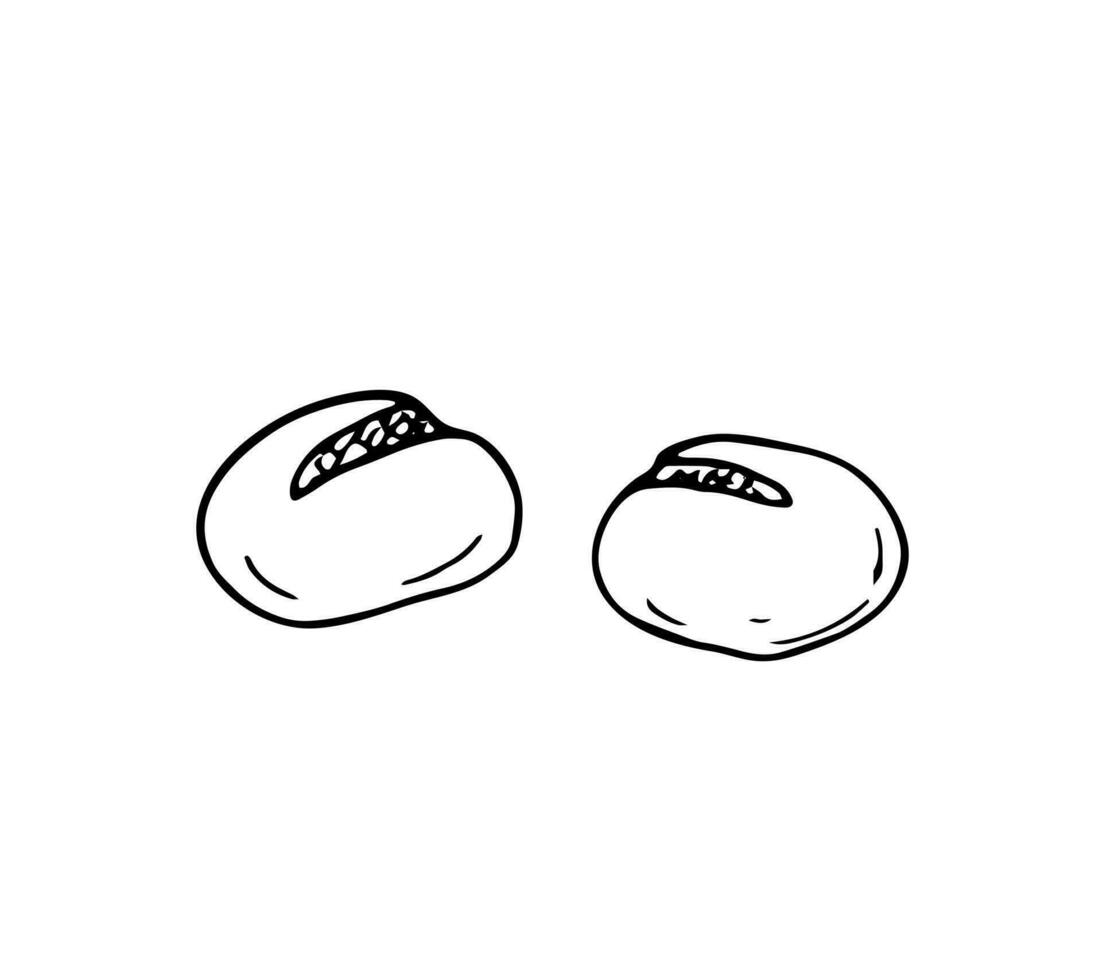 Vector hand-drawn buns on white background.