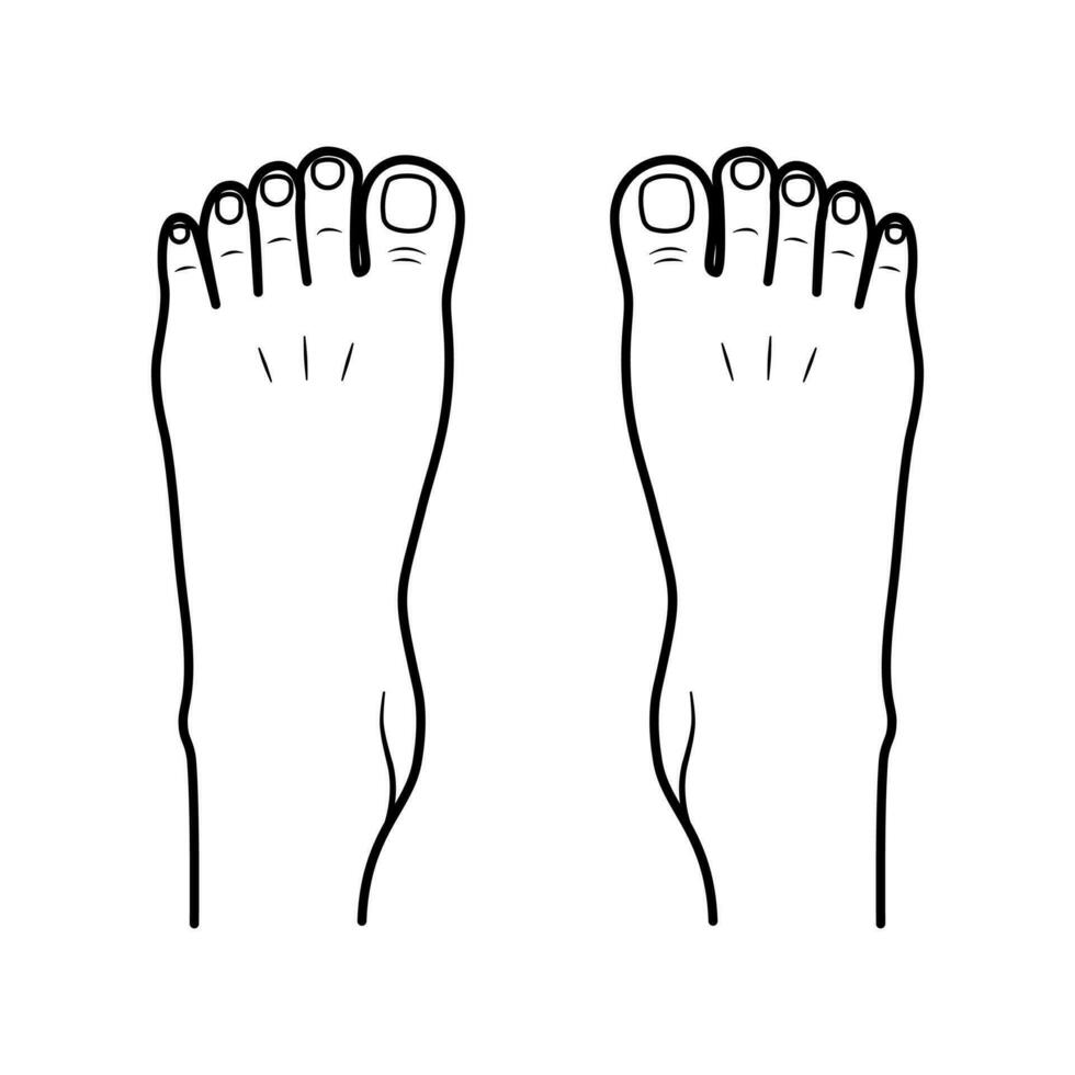 Two bare human feet. Top view. Foot legs. Vector flat outline icon illustration isolated on white background.