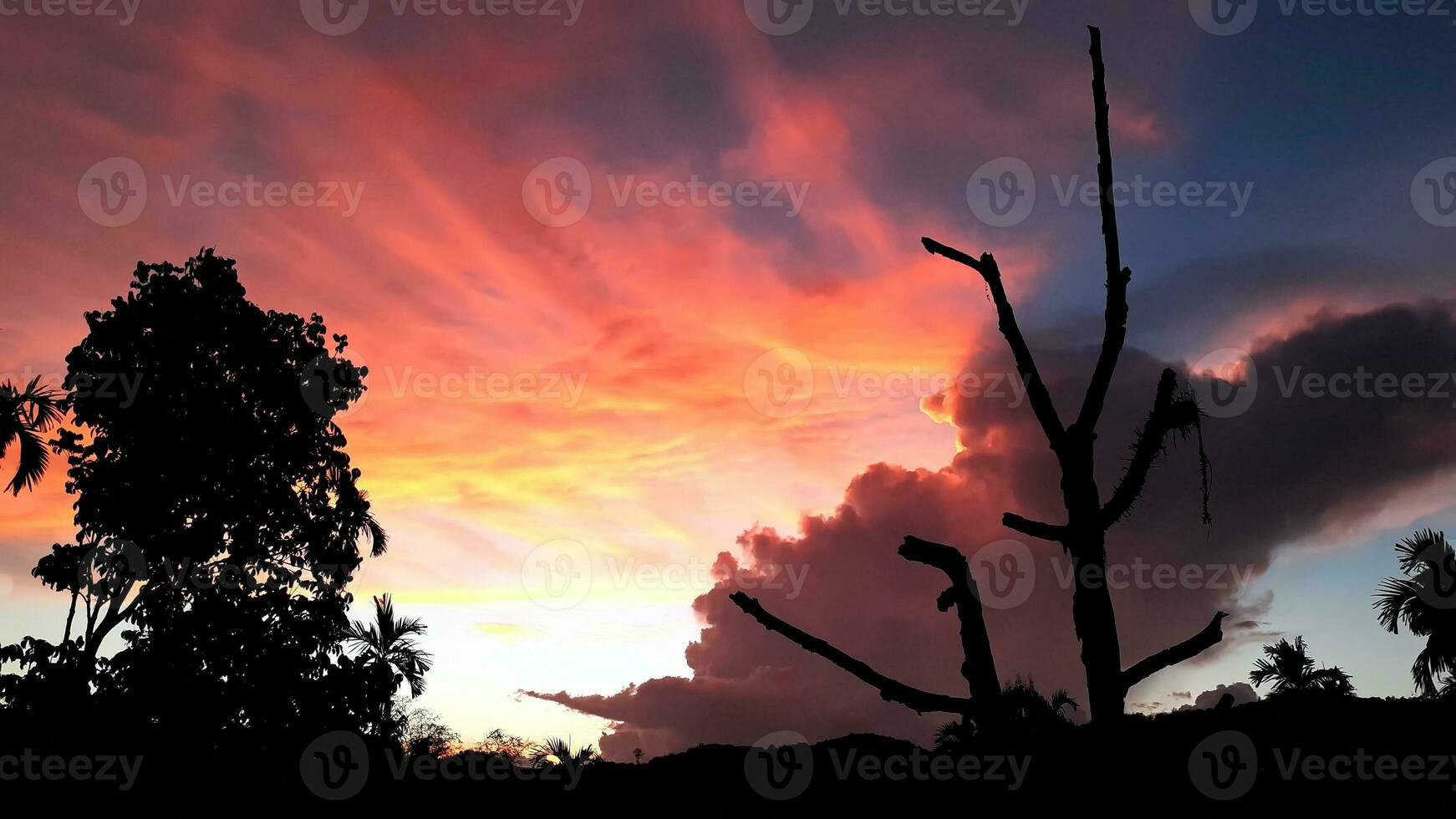 Create beauty of landscape saw mountains, betel palm dead big tree, with blue sky mix golden orange. the natural atmosphere evening is bright and charming in the countryside. photo