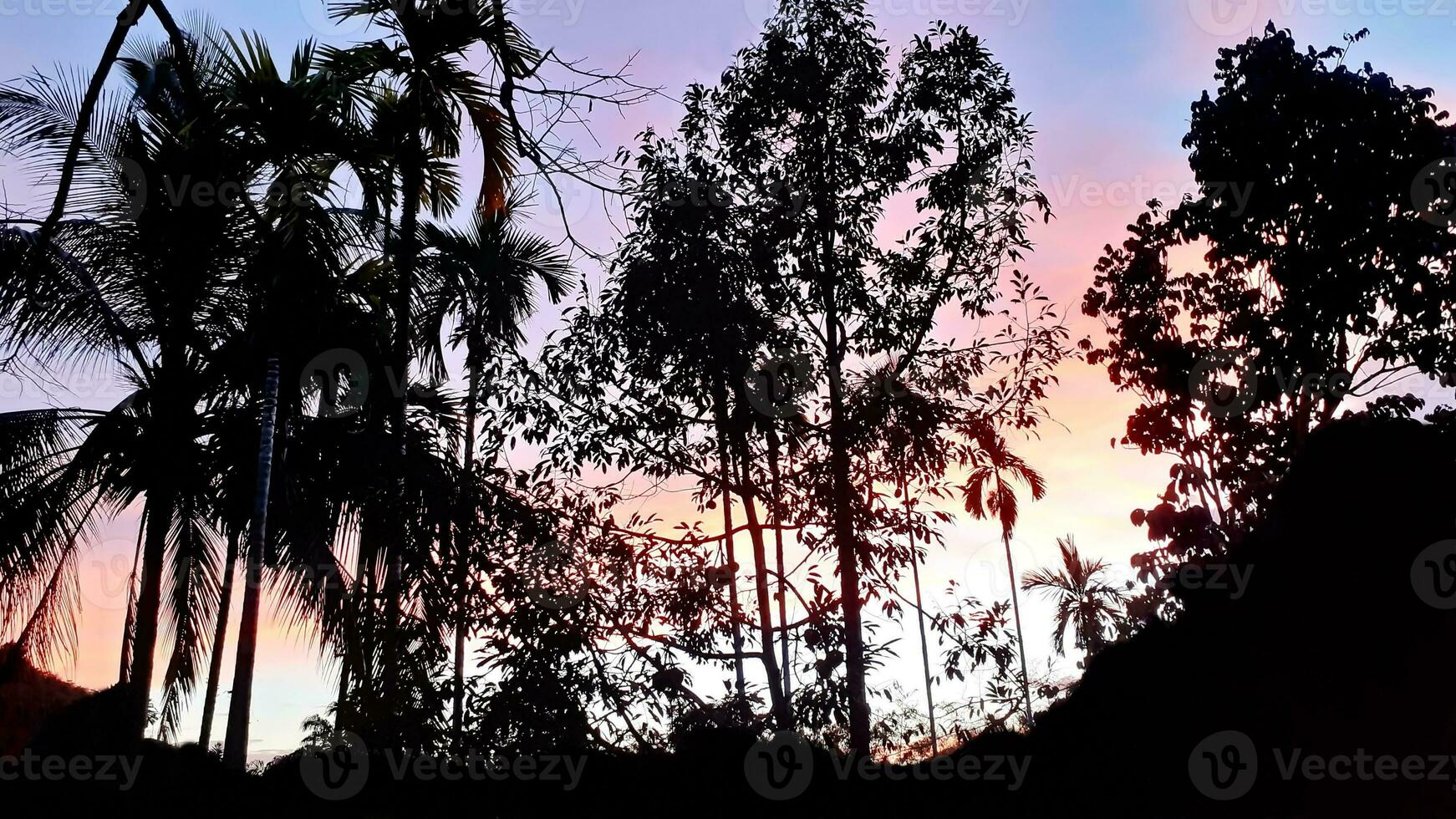 Create beauty of landscape saw mountains, betel palm coconut trees, with blue sky mix golden orange. the natural atmosphere evening is bright and charming in the countryside. photo