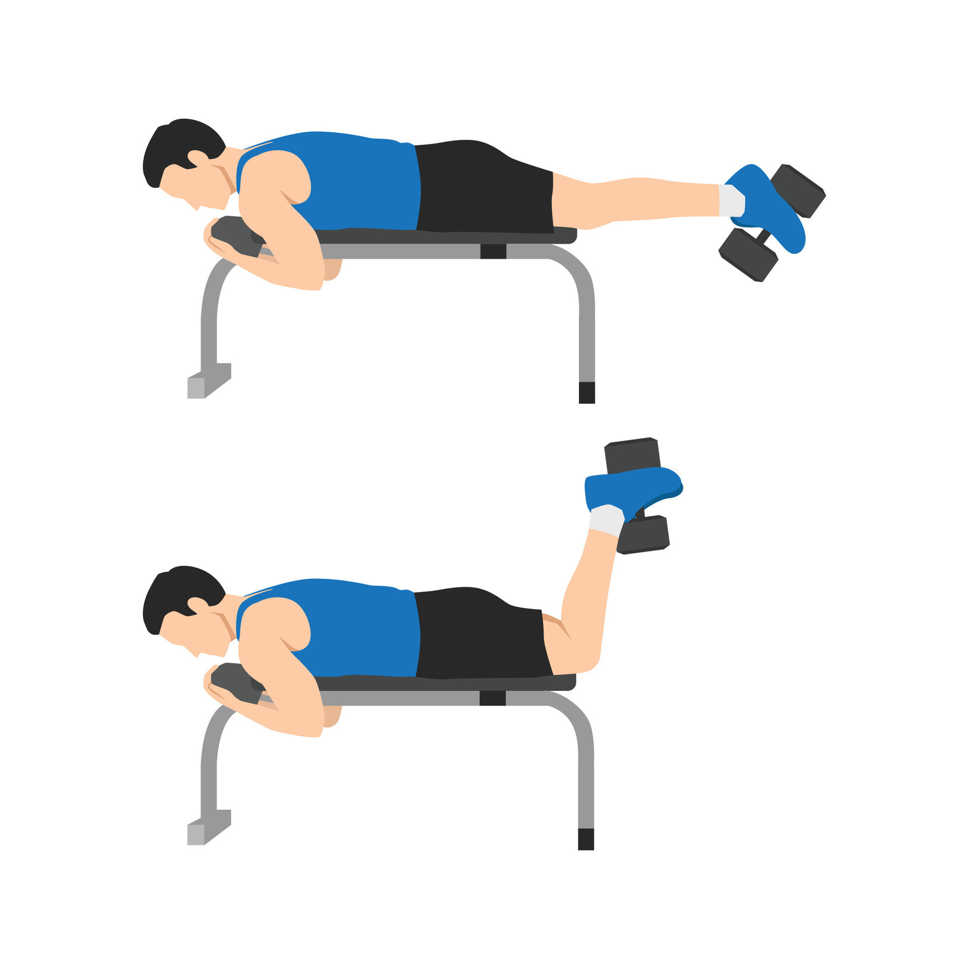 Man doing Dumbbell Hamstring Curl on Bench exercise. 26286844 Vector