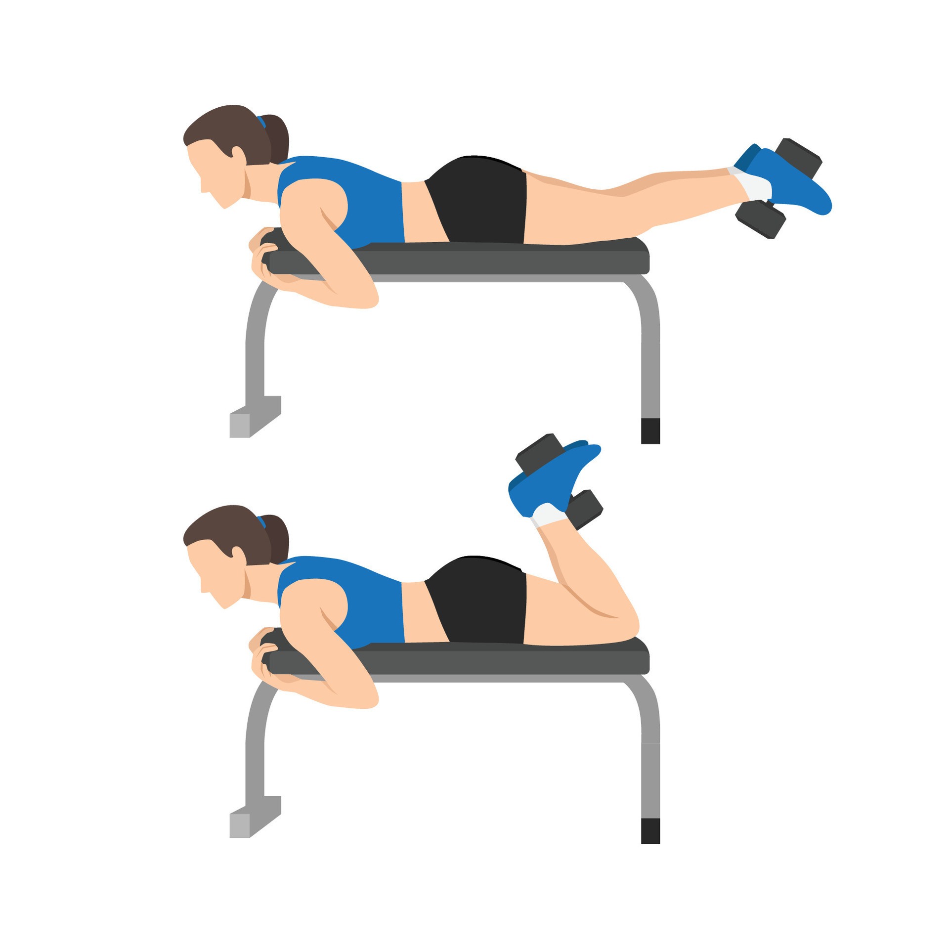 Woman doing Dumbbell Hamstring Curl on Bench exercise. 26286860 Vector