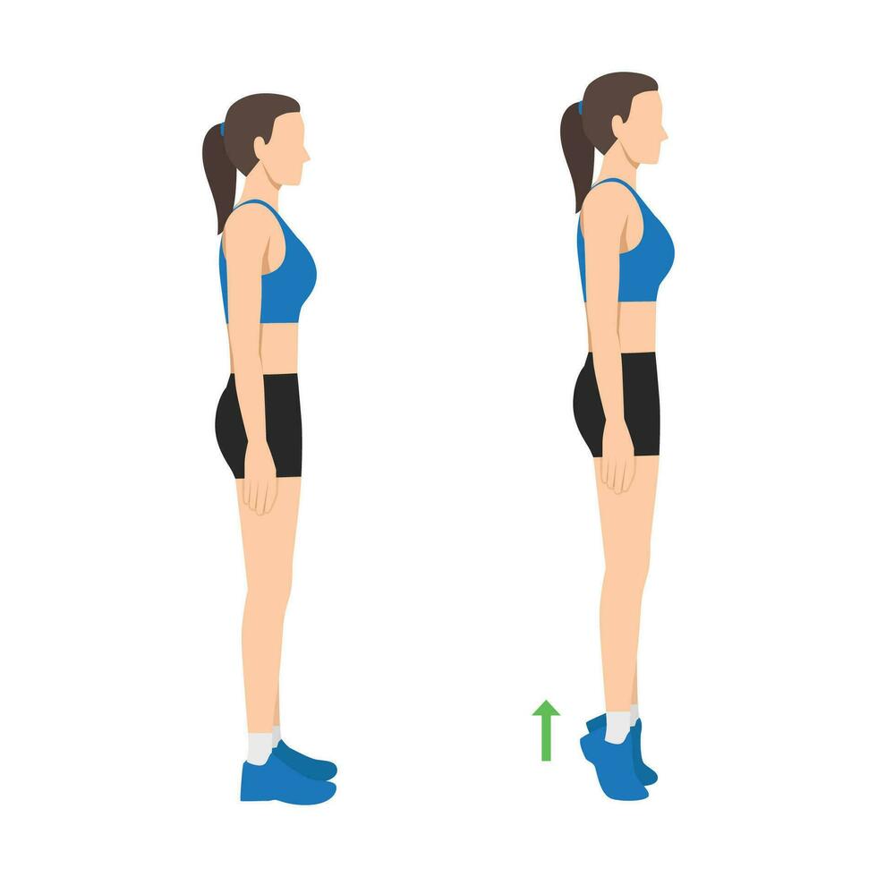 Woman doing tip toe pose move for reduce leg cellulite. Workout diagram about Calves reduction for slim leg. vector