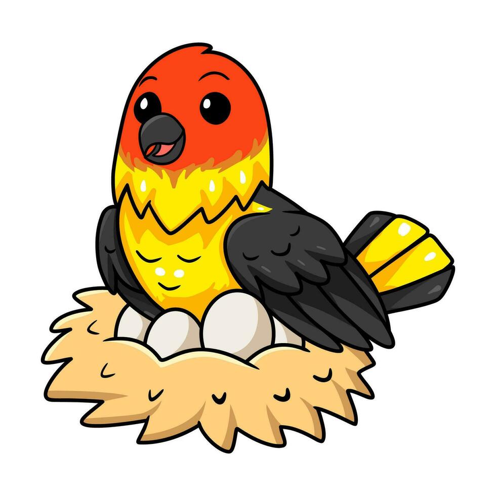 Cute western tanager bird cartoon with eggs in the nest vector