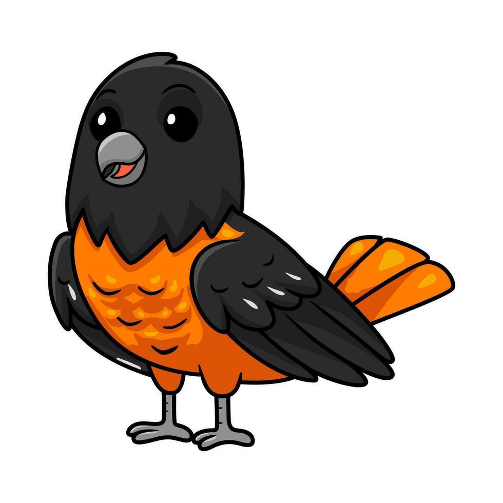 Cute baltimore oriole bird cartoon vector