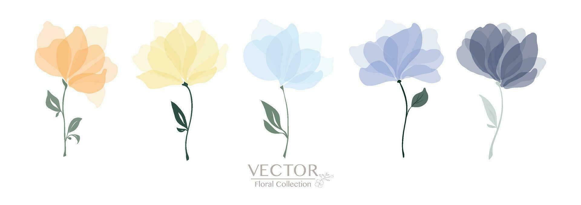 Set of colorful floral collection vector