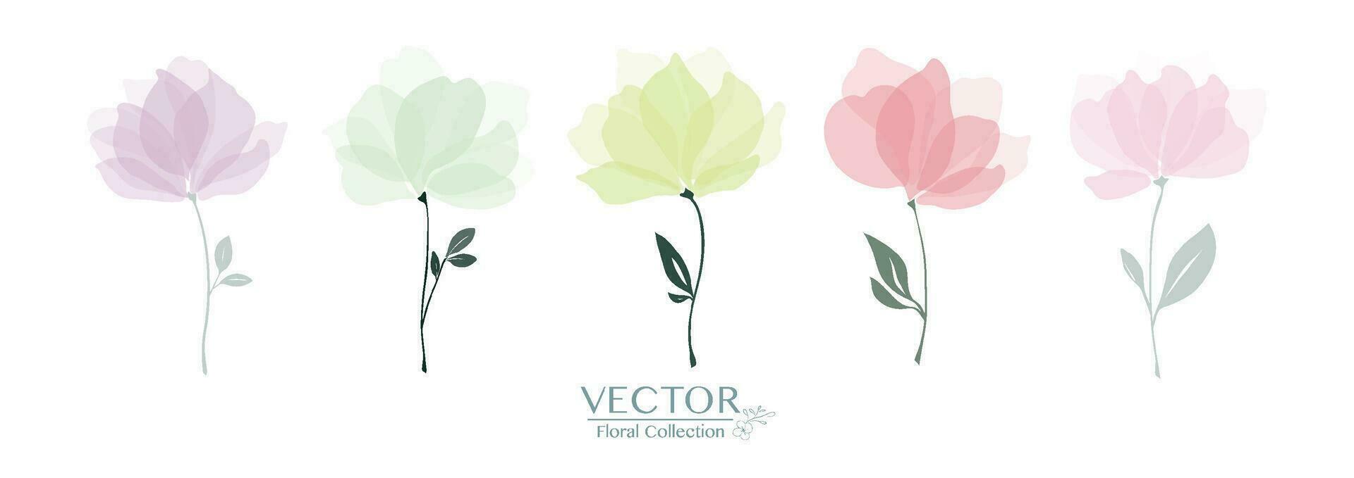 Set of cute floral collection vector
