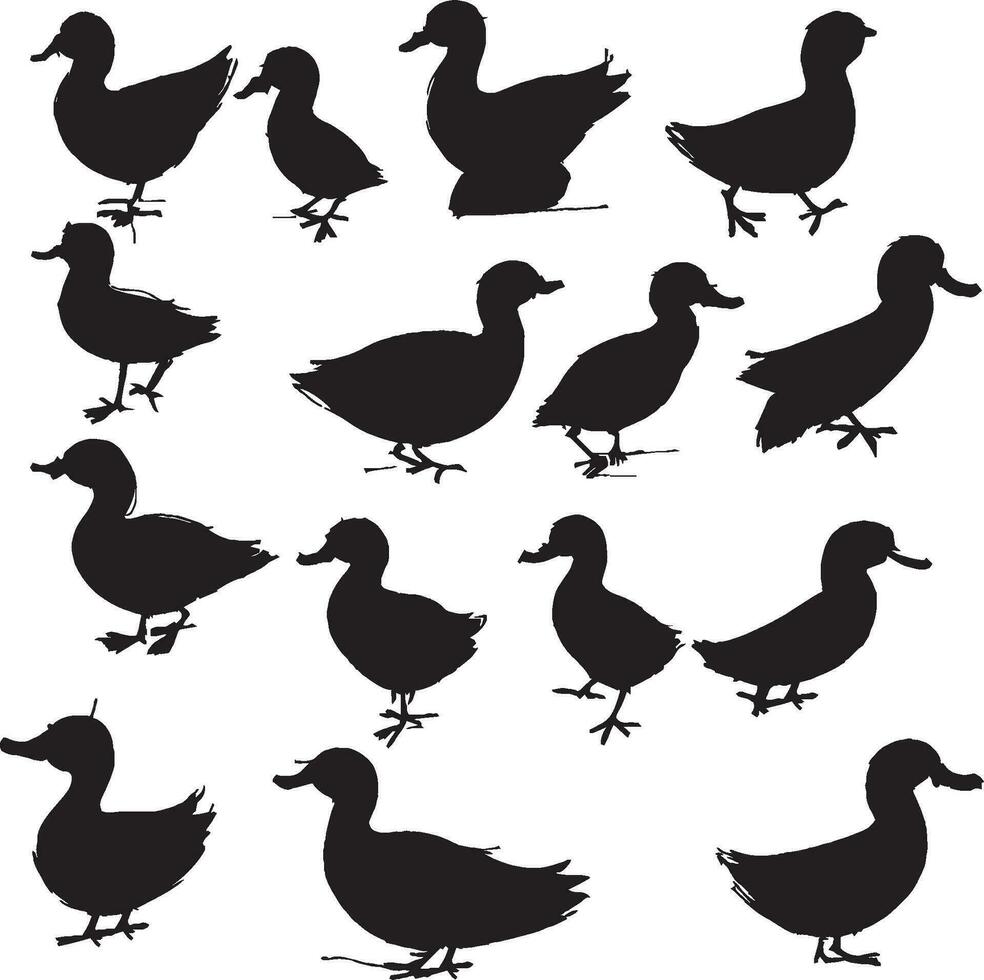 Duck silhouette set in white background vector