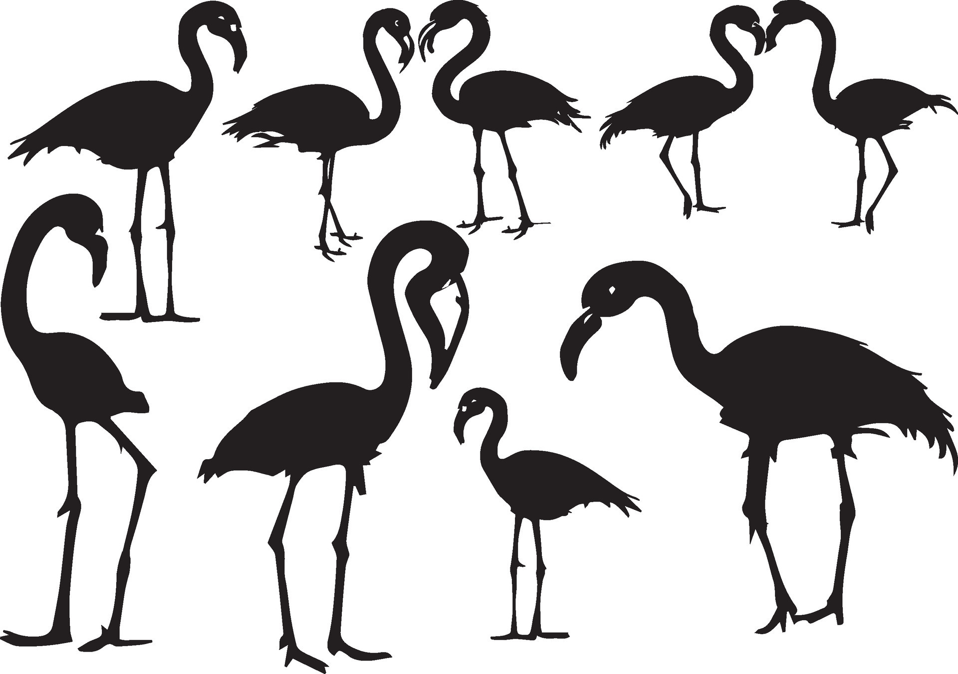 Flamingo silhouette set in white background 26288442 Vector Art at Vecteezy