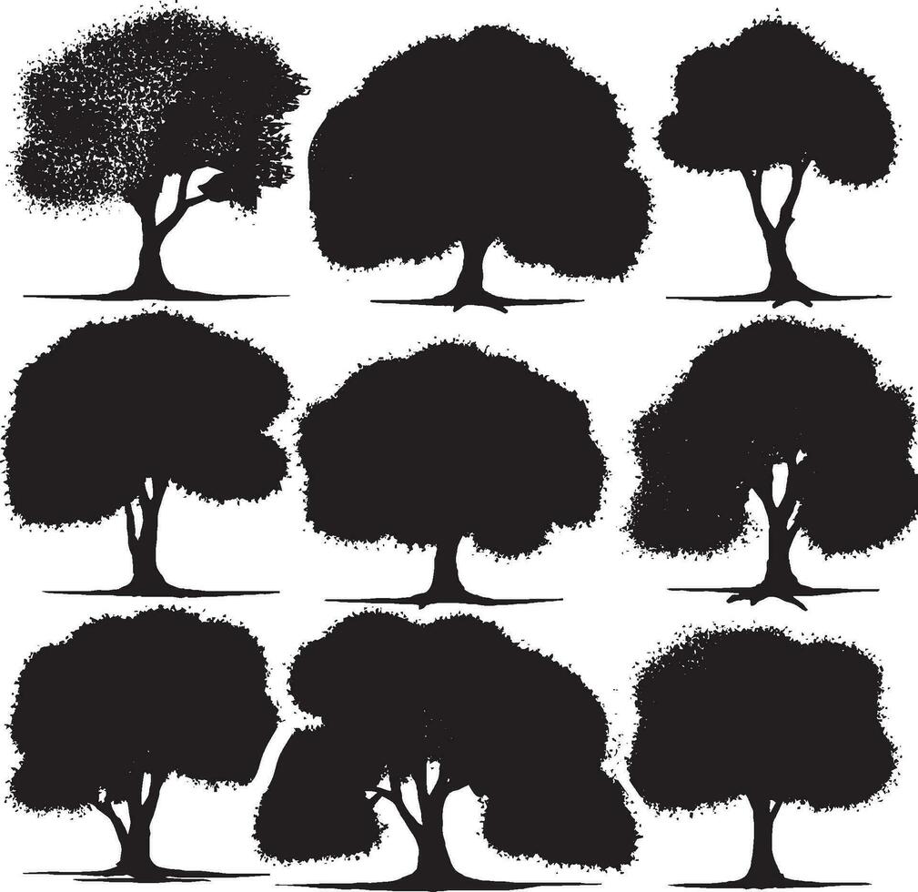 A ako tree silhouette set in white background vector