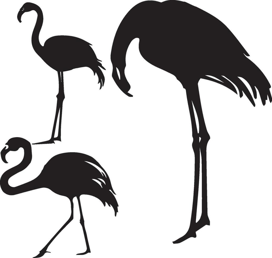 Flamingo silhouette set in white background vector