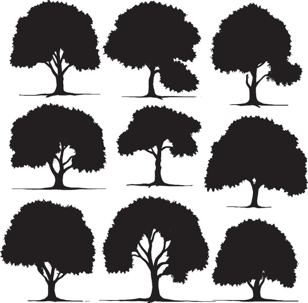 árbol silueta conjunto en blanco antecedentes vector