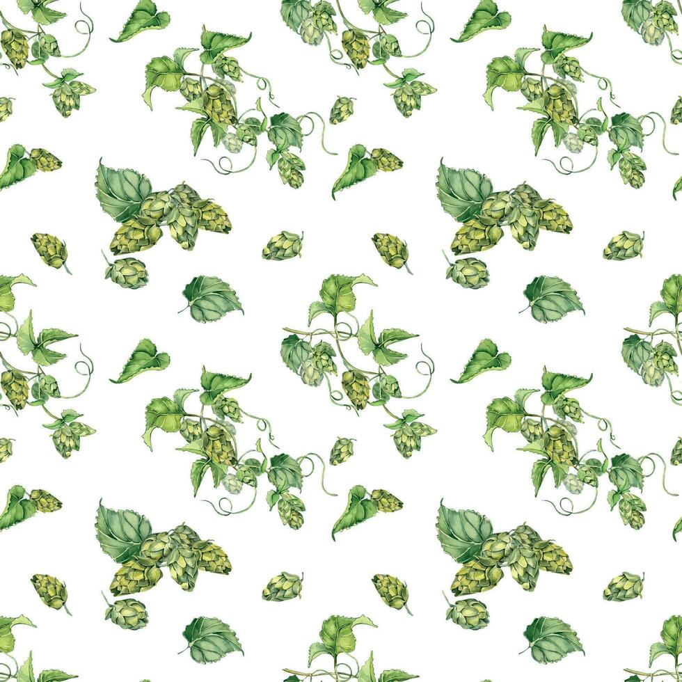 Hop vine, plant humulus watercolor seamless pattern isolated on white background. Hop on brunch with leaves, hop cones hand drawn. Design element for wrapping, label, packaging, paper, textile vector