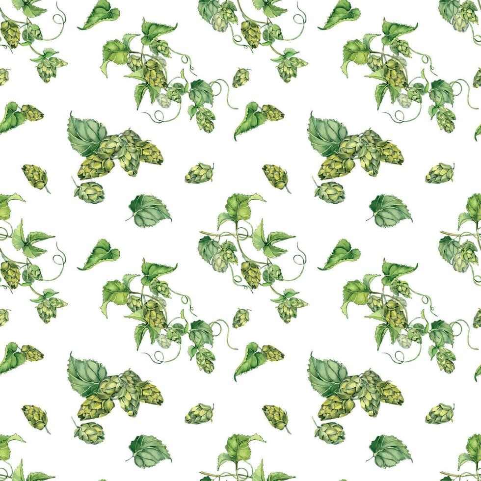 Hop vine, plant humulus watercolor seamless pattern isolated on white background. Hop on brunch with leaves, hop cones hand drawn. Design element for wrapping, label, packaging, paper, textile vector