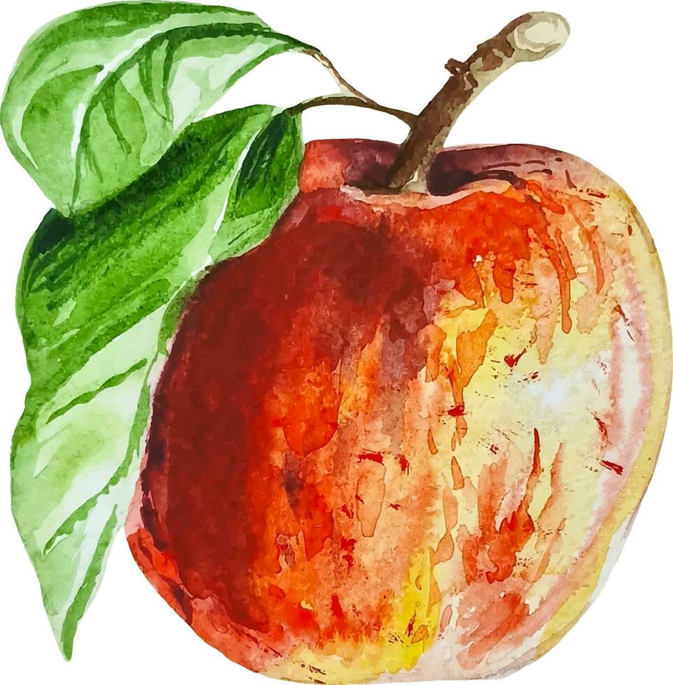 acuarela manzana con hojas mano dibujado clipart vector