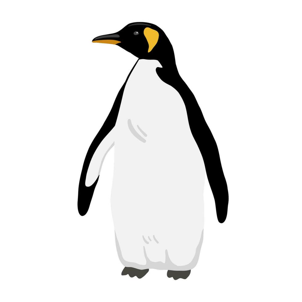 Rey pingüino. plano vector ilustración aislado en blanco. polar animal