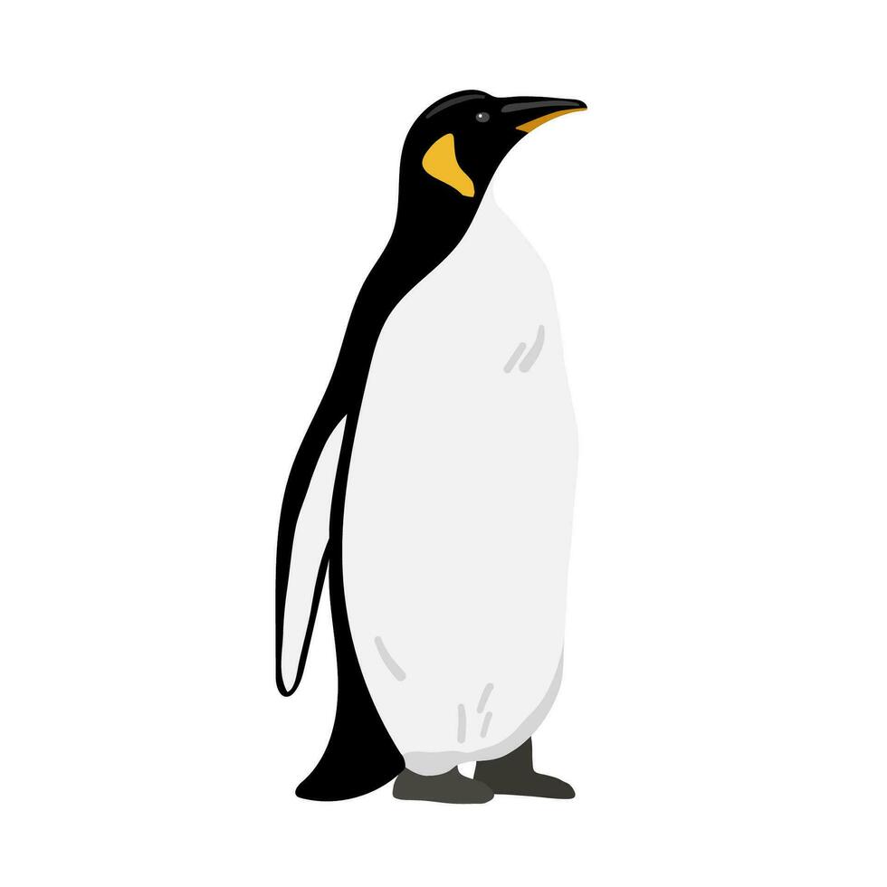 Rey pingüino. plano vector ilustración aislado en blanco. polar animal