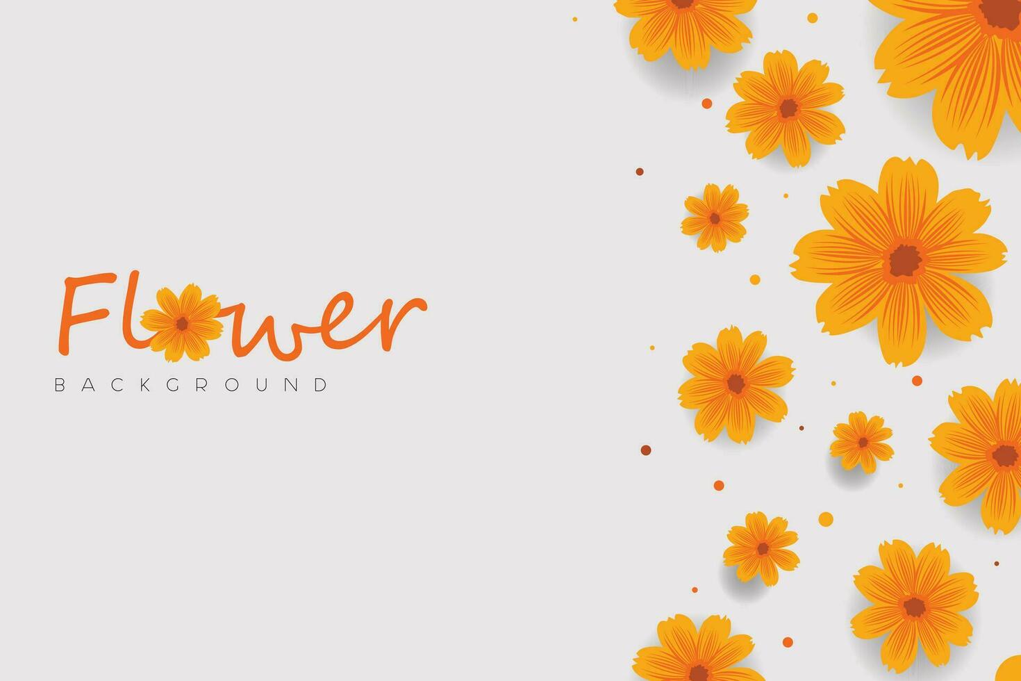 Orange Flower Background with Flowers in many sizes on the right side of the frame. White background Landscape with orange flower, header, and card. vector