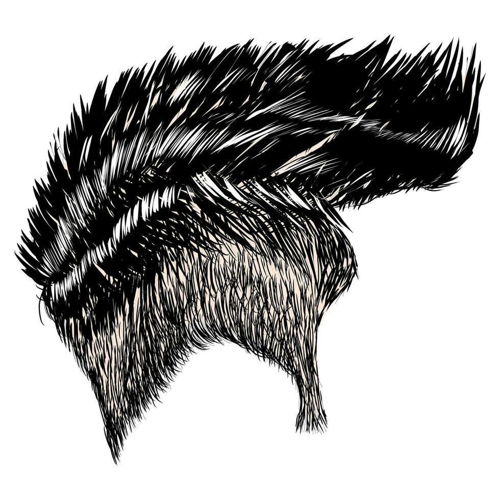Illustration of black undercut hair vector