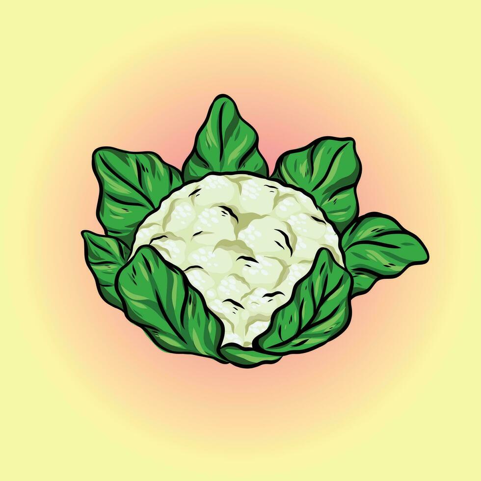 Cabbage Vector Design