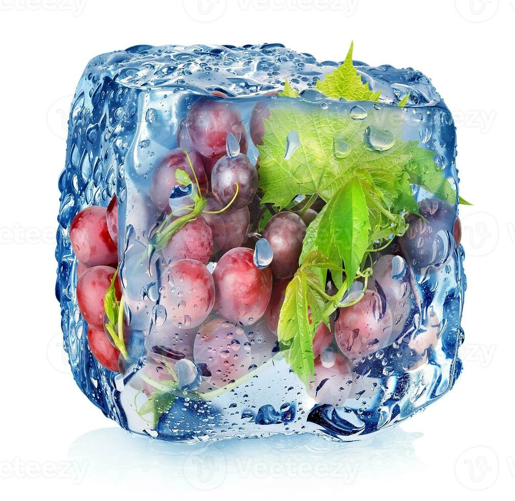 Grape in ice cube photo