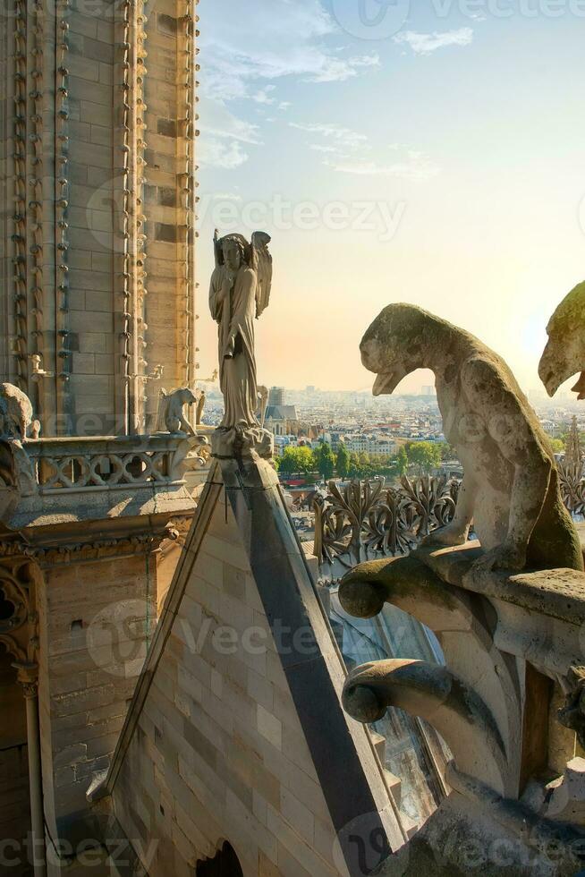 Chimeras on cathedral photo