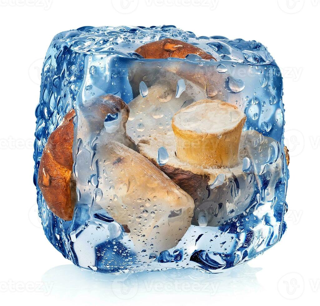 hongos en hielo cubo foto