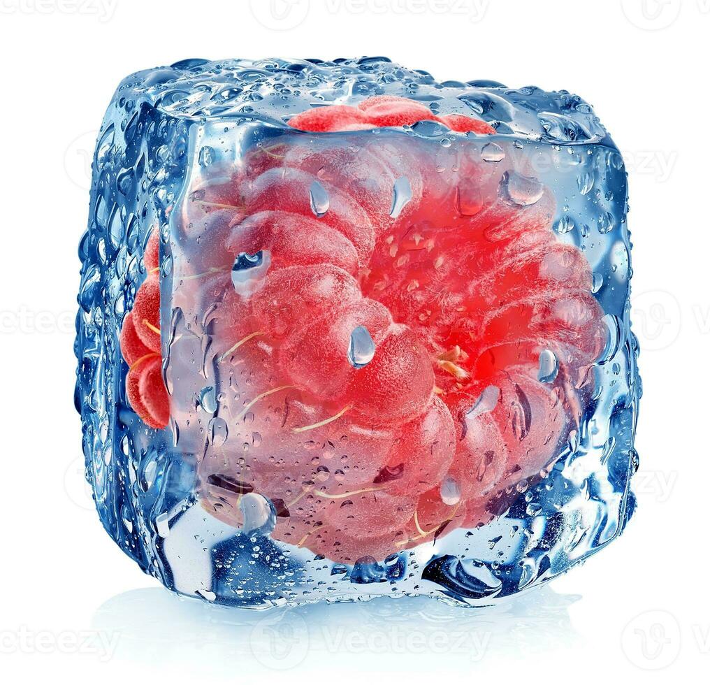 Pink raspberry in ice photo