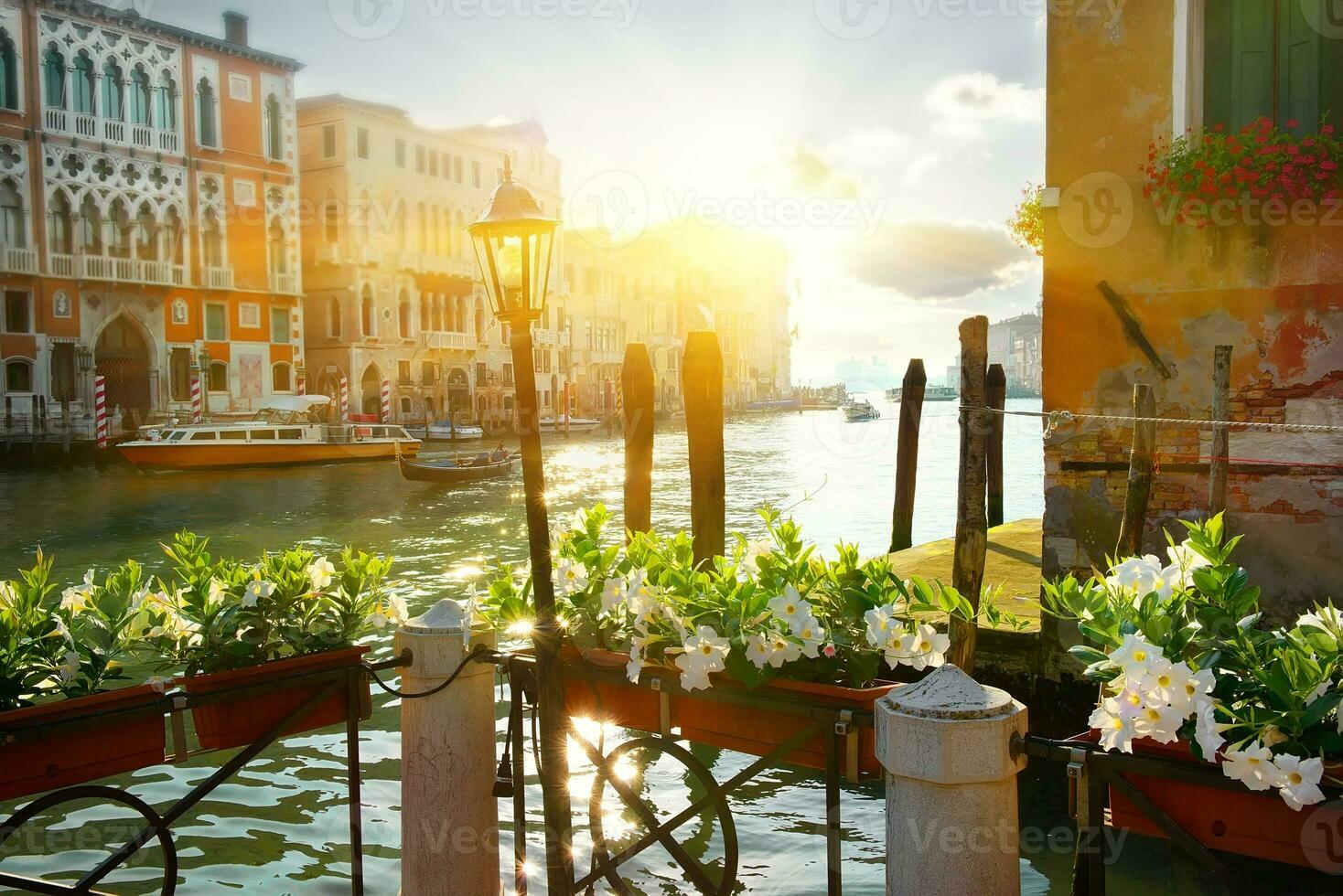 Flowers near Grand Canal, Venice photo