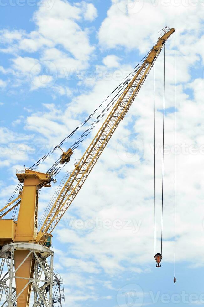 Big Yellow Crane photo