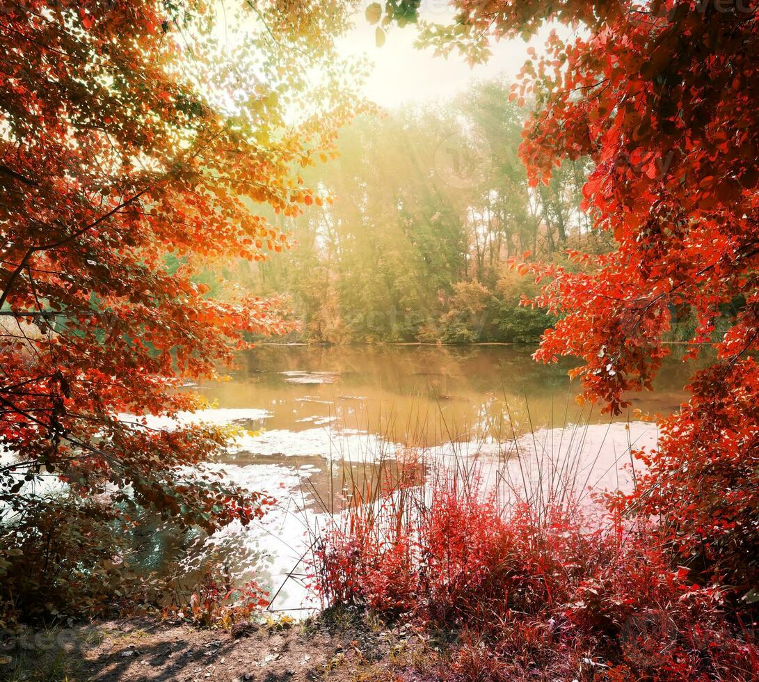 Sunbeams over river photo