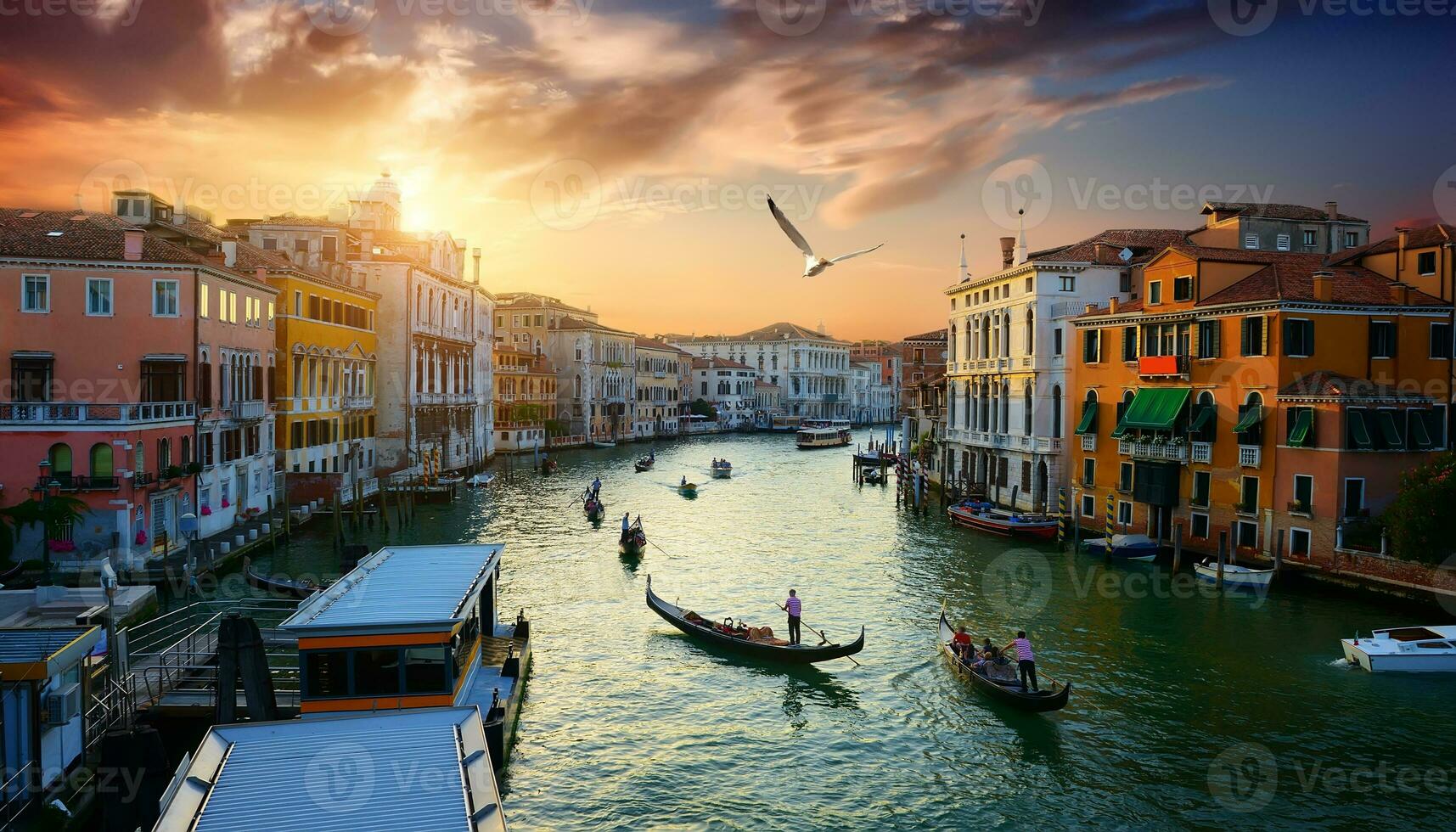 Venice at the sunset photo