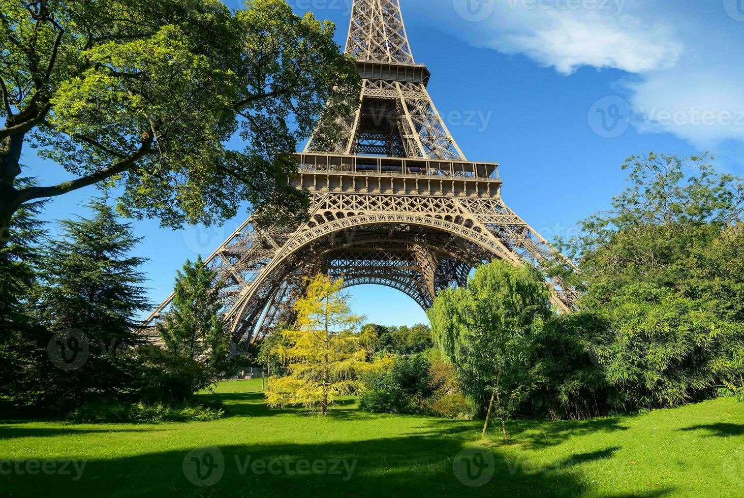 Trees in park of Paris photo