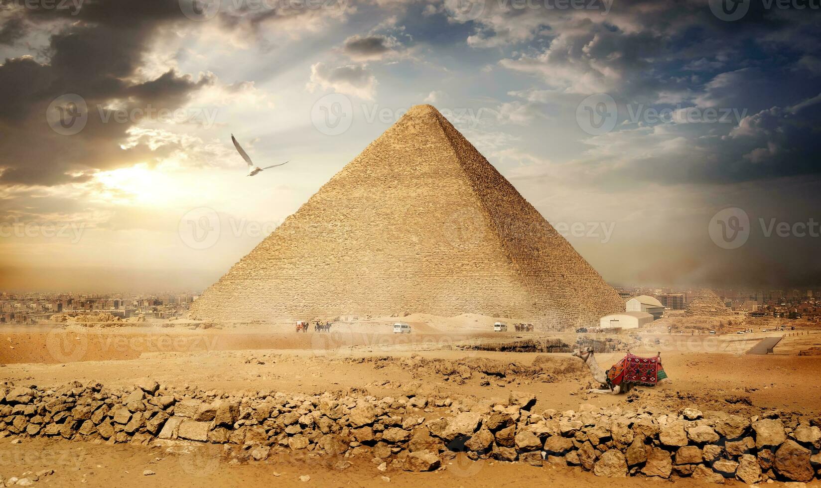 Big bird over pyramids photo