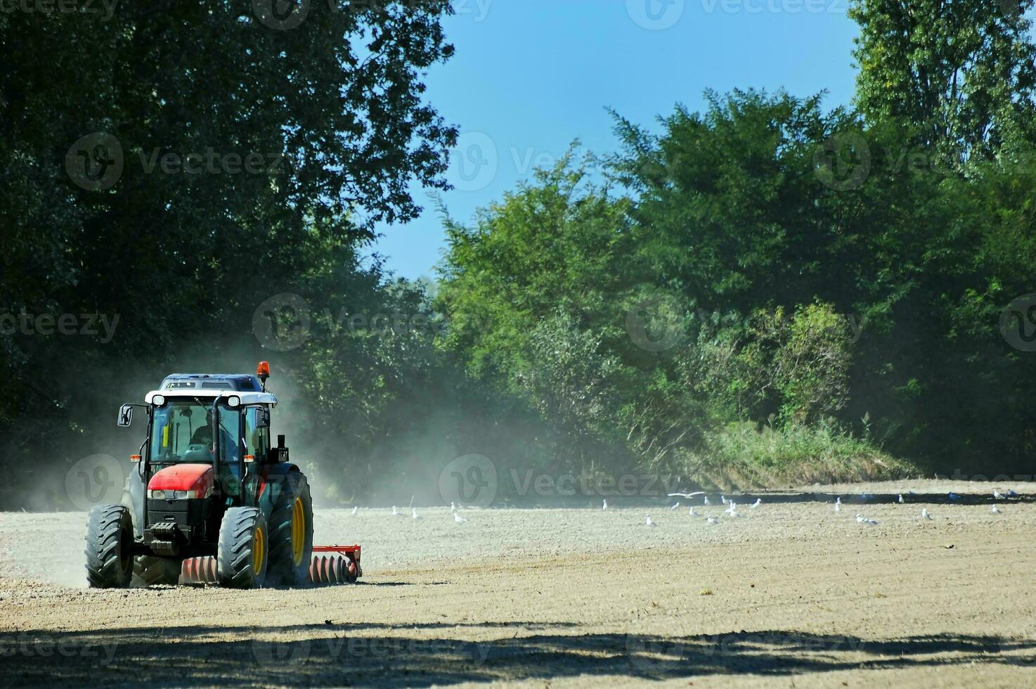 Plowing Time - Tractor Working photo