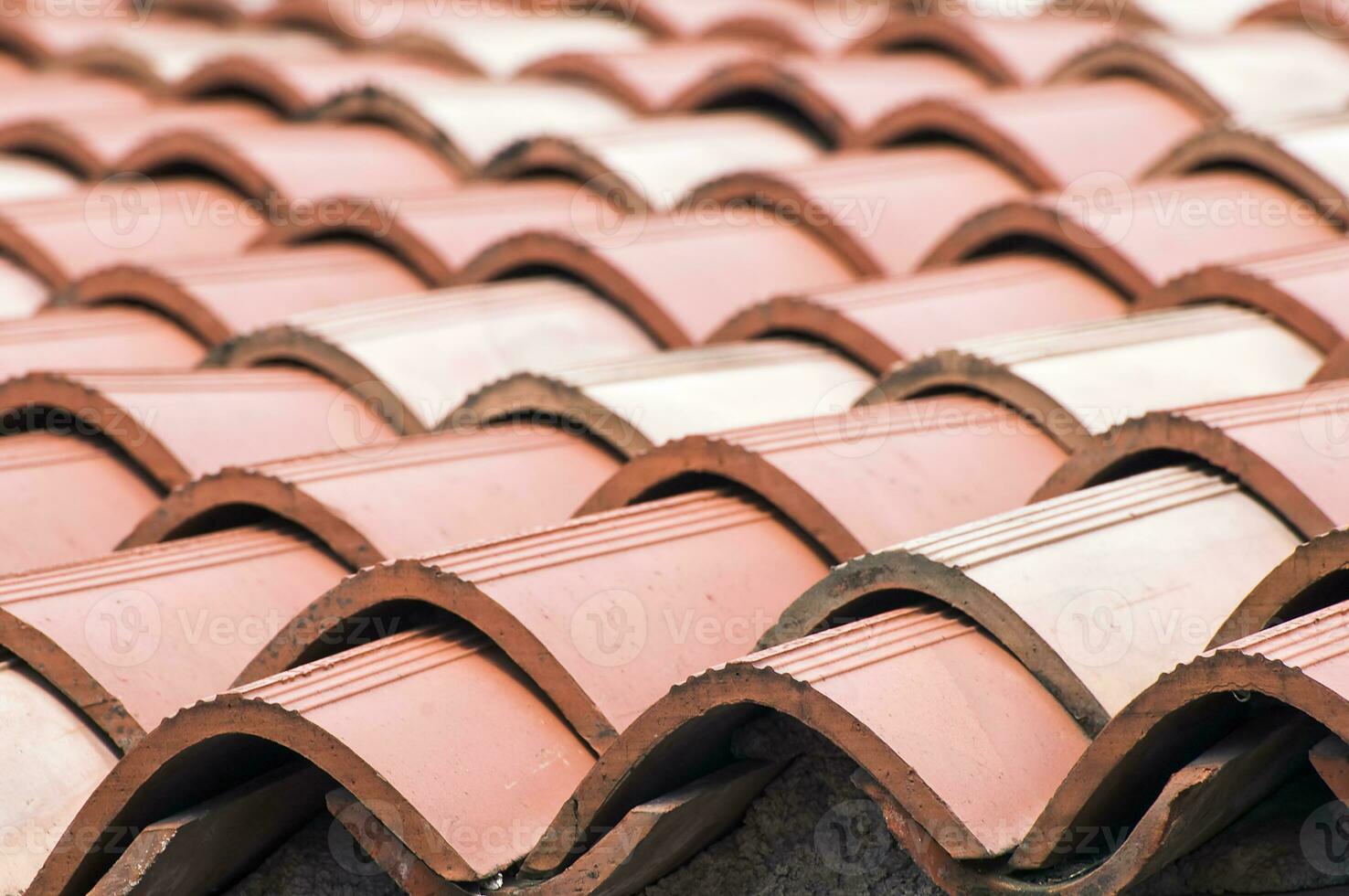 Close-up of Roof Tiles photo