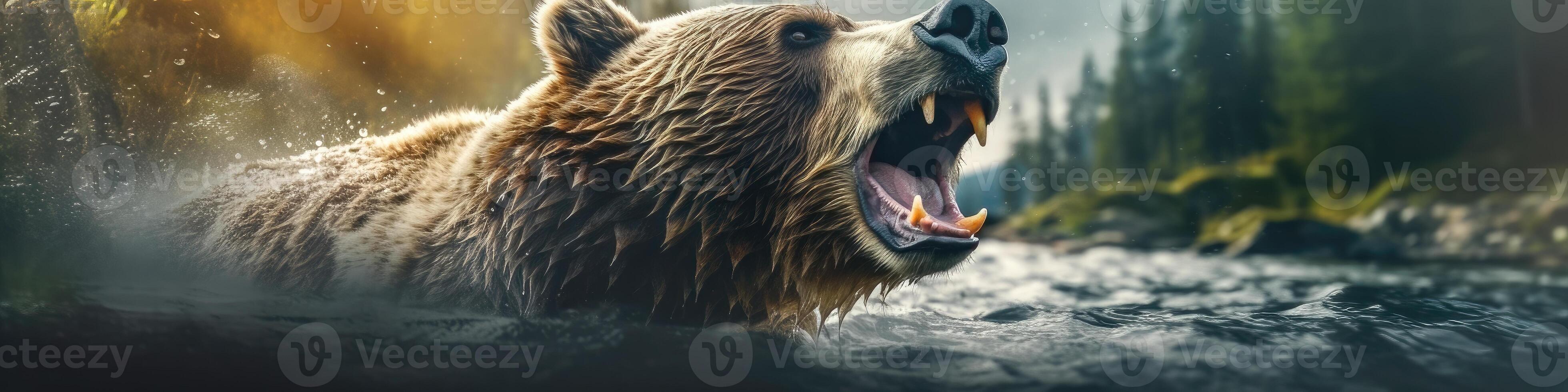 Bear in the water - photo