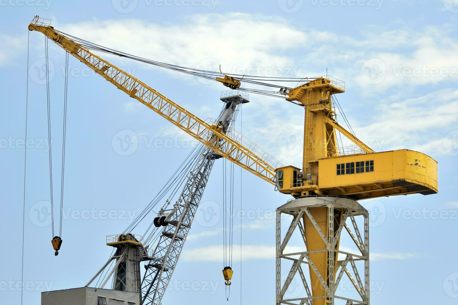 Two Big Cranes photo