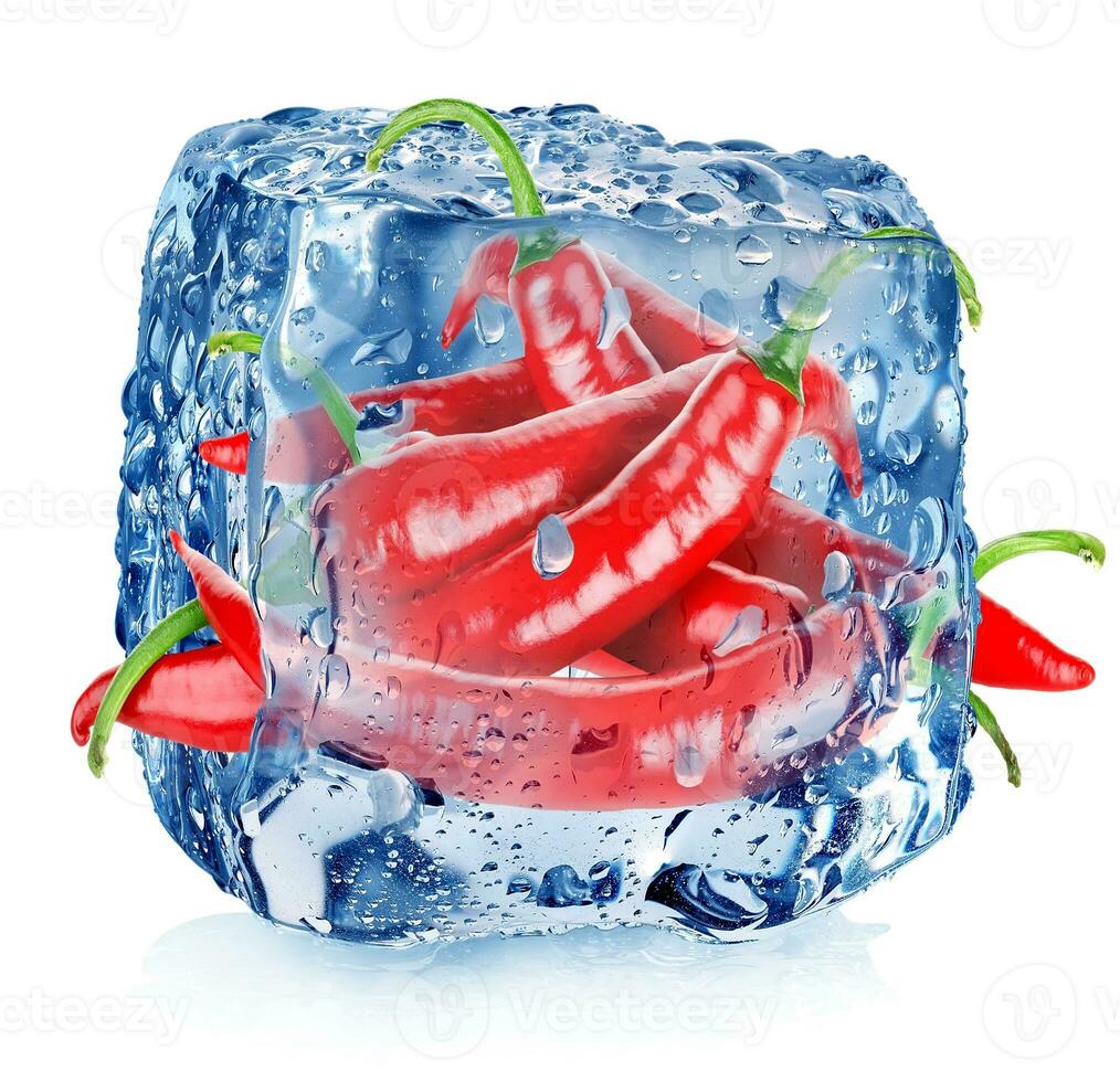 Red pepper in ice cube photo